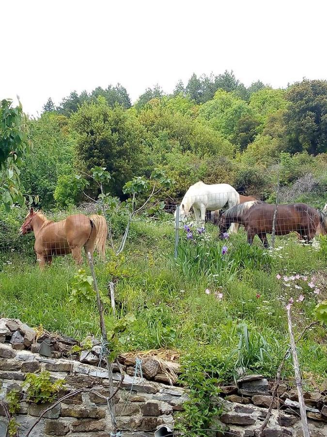 Morfeas Guesthouse Папигко Екстериор снимка